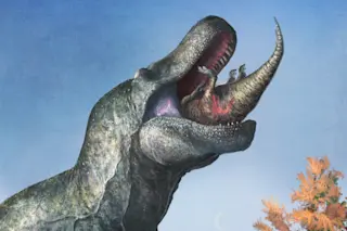 Tyrannosaurus Lips 