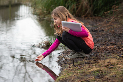 Citizen Science Month 2