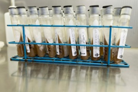 mushroom growing kits - Stuart Isett