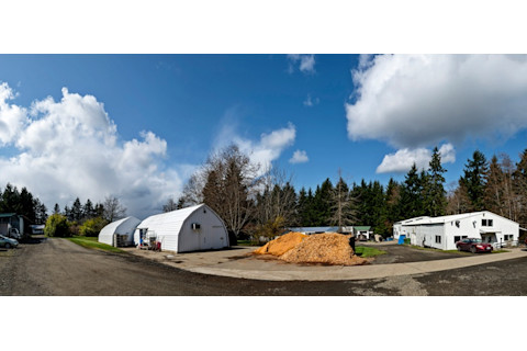 fungi perfecti - Stuart Isett