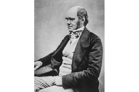 Young Charles Darwin, 1850s
