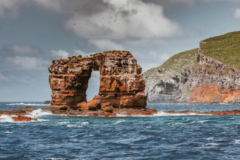 Darwin's Arch