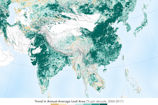 NASA China India greening