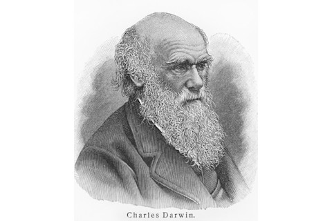 Charles Darwin - Picture from Meyers Lexicon books written in German language.