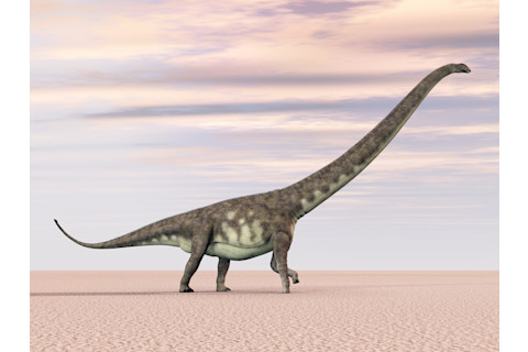 Dinosaur Mamenchisaurus