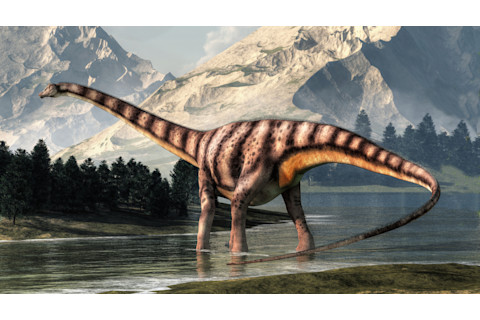Diplodocus, sauropod dinosaur, wading in a shallow river
