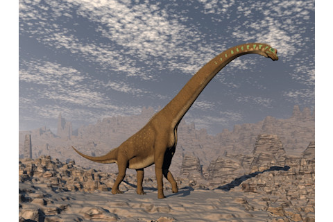 Giraffatitan dinosaur
