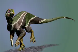 Life reconstruction of Iani smithi