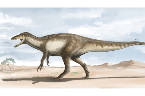 Lifetime reconstruction of Maip by the Argentine illustrator Agustín Ozán.