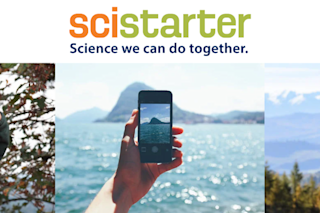 Five Ways you can aid environmental research with your camera