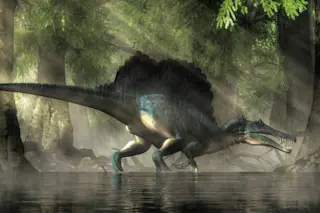 A spinosaurus in a swamp