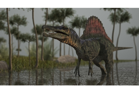 Spinosaurus in a marsh