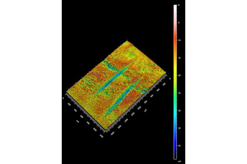Hominin tibia marks scan