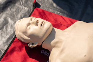 CPR doll