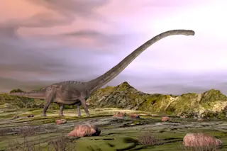 Omeisaurus walking in the desert - 3D render - stock photo