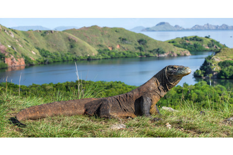 Komodo Island