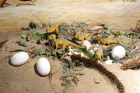 Dinosaur hatchlings in nest with plants and broken egg shells