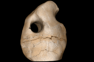 3D rendering of the pendant with two holes.