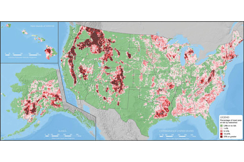 tree map