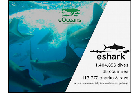 Image credit: C Ward-Paige