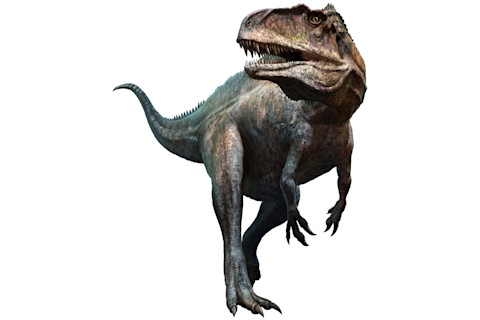 Acrocanthosaurus