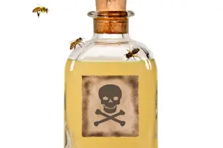 Bee Poison - Shutterstock