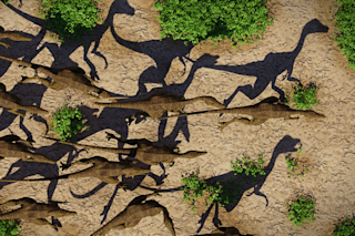 Velociraptor group