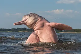 shutterstock 1288083607
