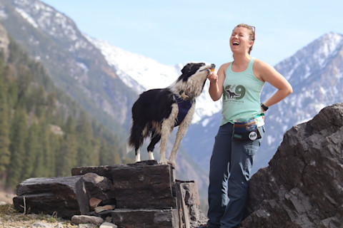 Training a detection dog