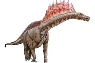 Dicraeosaurid dinosaur with spikes on its neck