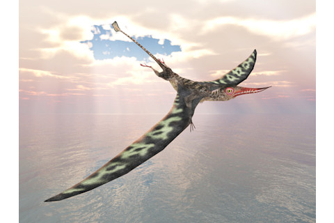 Pterosaur Rhamphorhynchus flying with clouds in the background