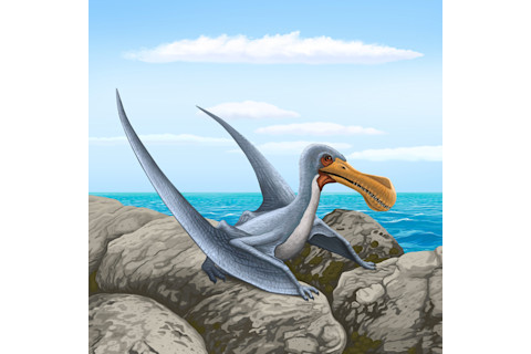 Illustration of Ornithocheirus perched on a rock with water in the background