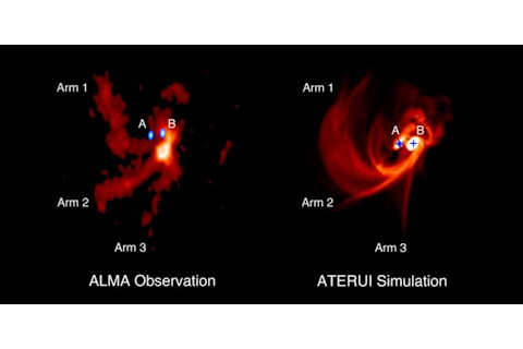 Gas distribution around the trinary protostars IRAS 04239+2436