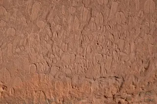 Detail of Stone Age human footprints and animal tracks carved into the cliffs of Doro !Nawas mountains, Namibia.