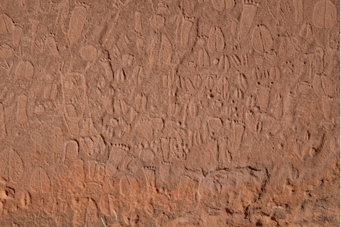 Detail of Stone Age human footprints and animal tracks carved into the cliffs of Doro !Nawas mountains, Namibia.