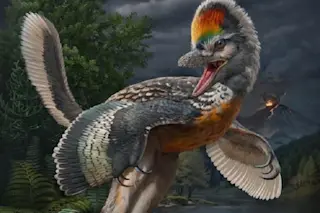Bird like dinosaur Fujianvenator prodigiosus with long legs