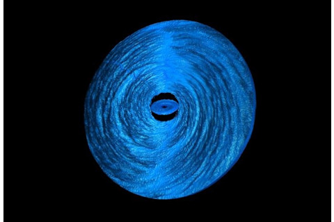Simulated black hole and accretion disk