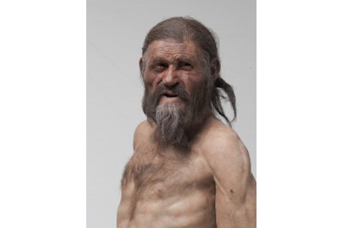 The new reconstruction of the Iceman as presented in the South Tyrolean Archaeology Museum showing the Iceman with brown eyes based on the genetic analysis.