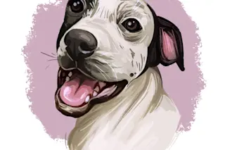 Hawaiian Poi Dog extinct breed of pariah dog from Hawai. Hand drawn digital art dog portrait.