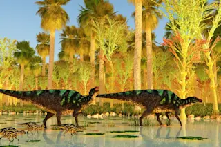 Maiasaura Dinosaurs cross Swamp 