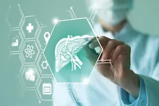 Doctor monitoring a human liver