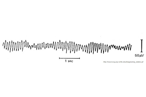 alpha waves