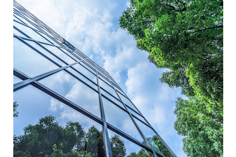 Glass windows reflecting trees