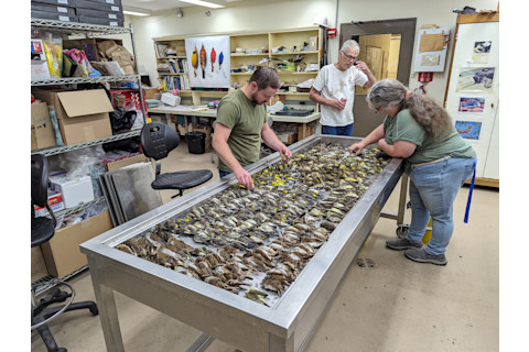 PXL 20231005 160037195 by Tom Gnoske