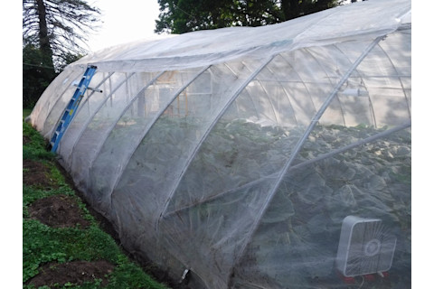 Exterior view of a pumpkin Greenhouse
