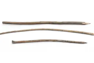 Wooden spears used by Neanderthals to hunt cave lions