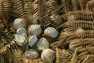 Dino nest