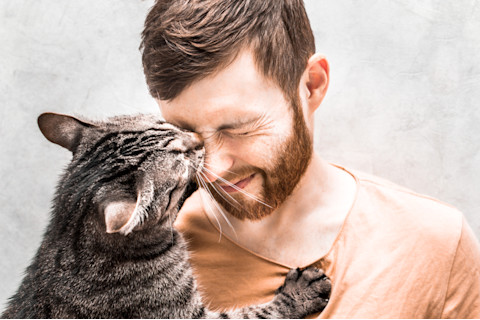 gray tabby cat kisses the face of its owner