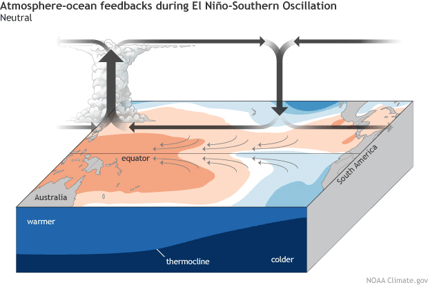 El Niño: Walker Circulation