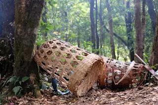 2 ancient wicker baskets in the forest